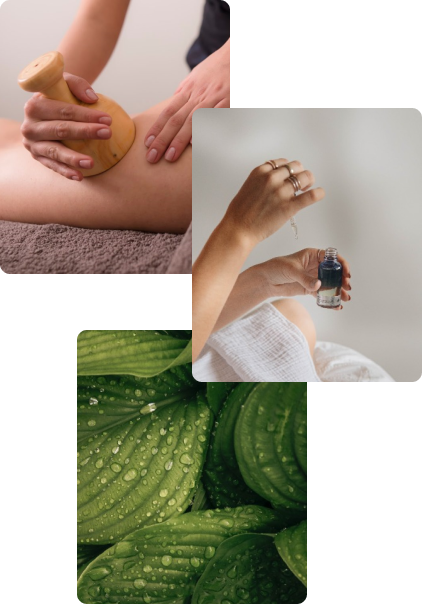 Centro de Estética Natural y Depilación Láser en Segovia